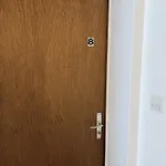 Salve 8 לויקרבאד